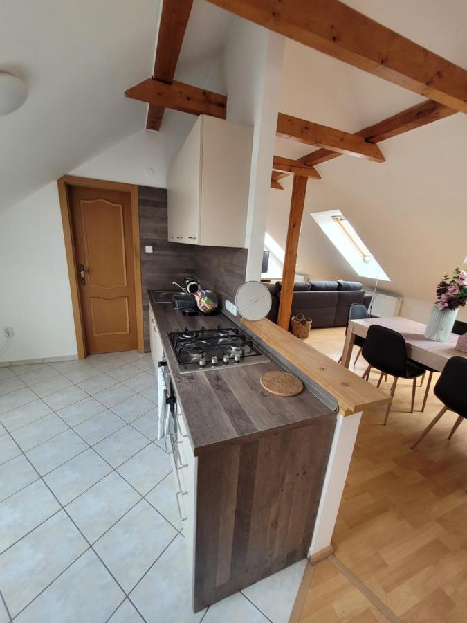Velke Darko Apartment Skrdlovice