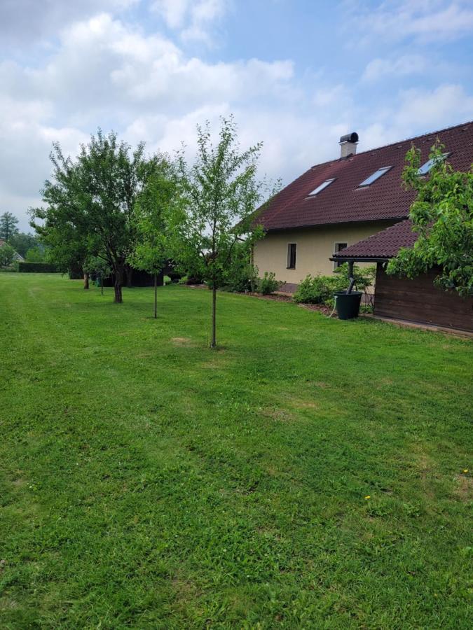 Apartment Velke Darko